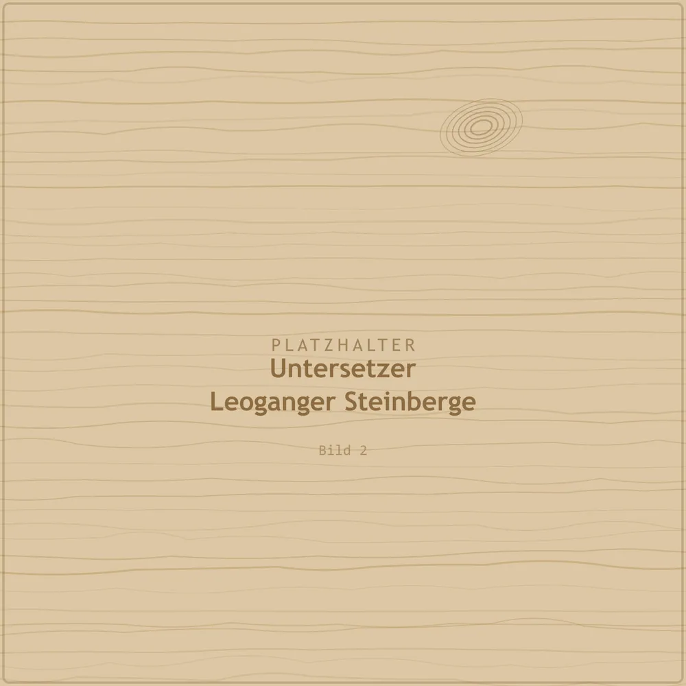 Untersetzer „Leoganger Steinberge“ – 4er-Set – Ansicht 2