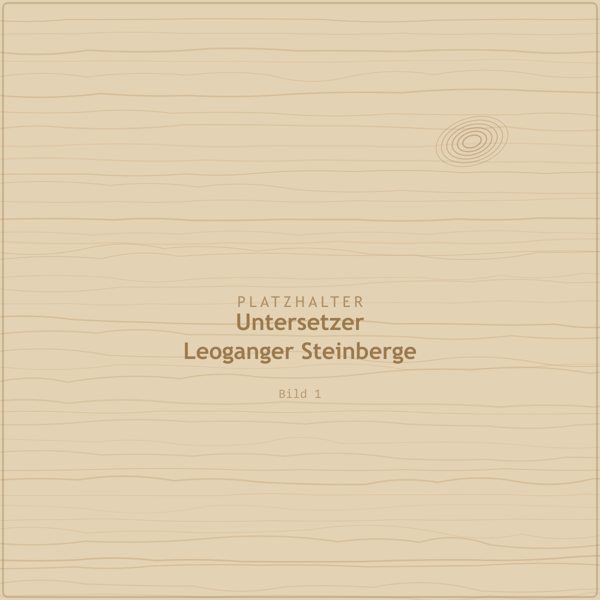Untersetzer „Leoganger Steinberge“ – 4er-Set