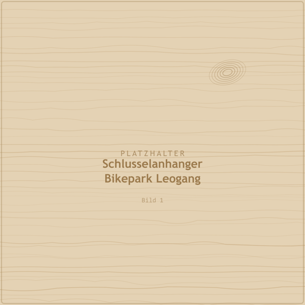 Schlüsselanhänger „Bikepark Leogang“